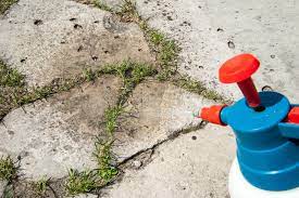 does bleach kill weeds